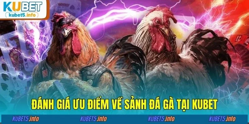 Đánh giá ưu điểm về sảnh đá gà tại KUBET