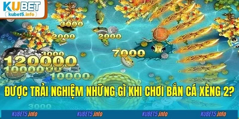 Được trải nghiệm những gì khi chơi bắn cá xèng 2?