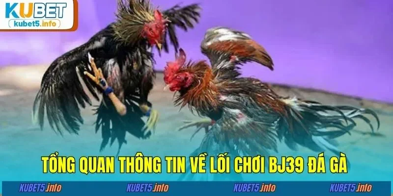 Tổng quan thông tin về lối chơi BJ39 đá gà 